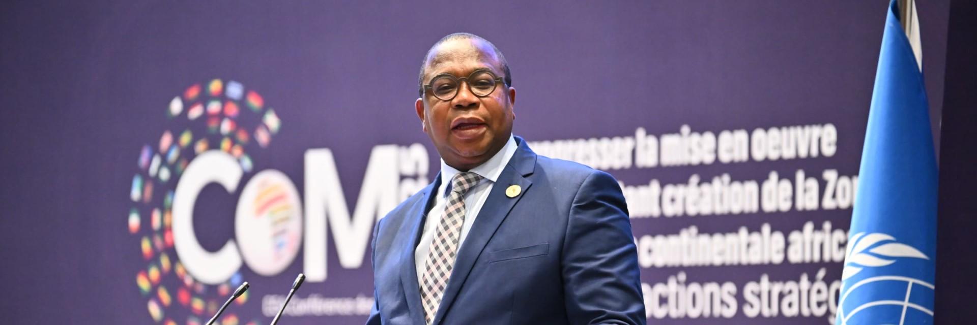 Mthuli Ncube Banks on AfCFTA as Global Protectionism Threatens African ...